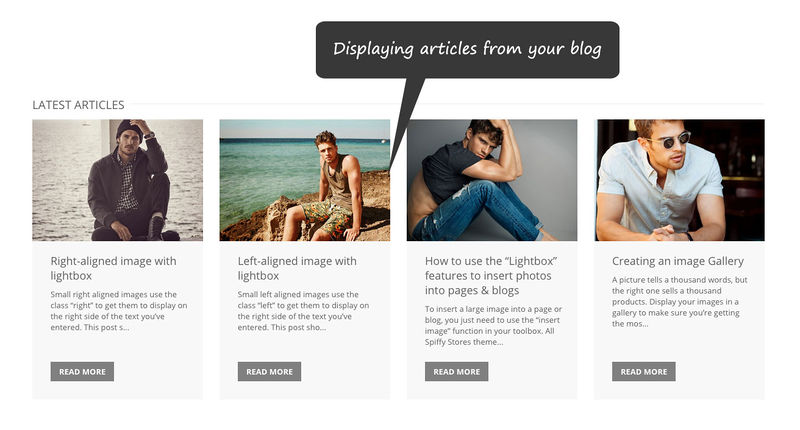 File:Melbourne-theme-home-blog-articles.jpg